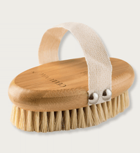 Load image into Gallery viewer, Celluvac Body Brush - Vegan
